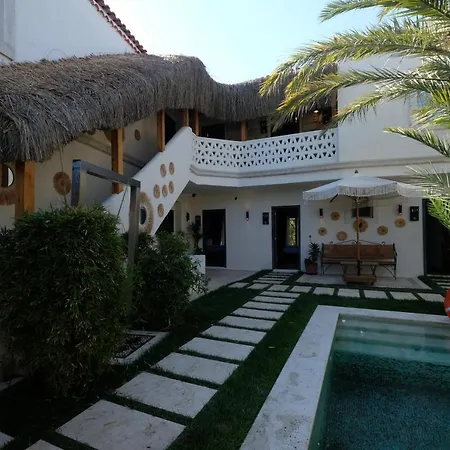 The Abc (adults Only)