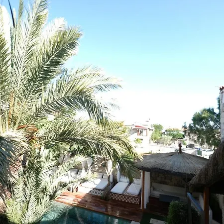 The Abc (adults Only)