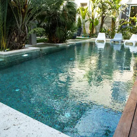 The Abc (adults Only)