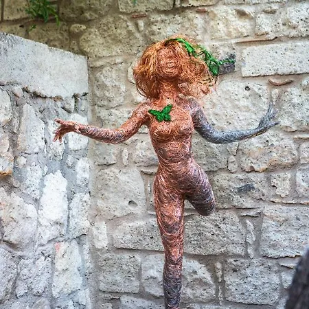 The Abc (adults Only)