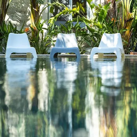 The Abc (adults Only)