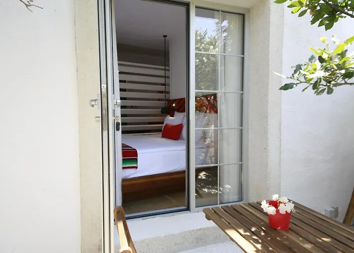 The Abc (adults Only)