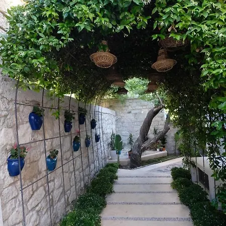 The Abc (adults Only)