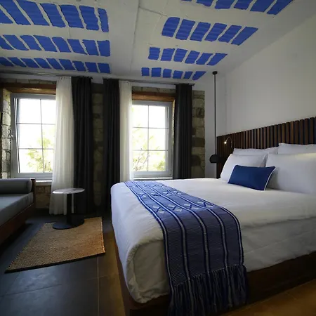 The Abc (adults Only) アラカティ