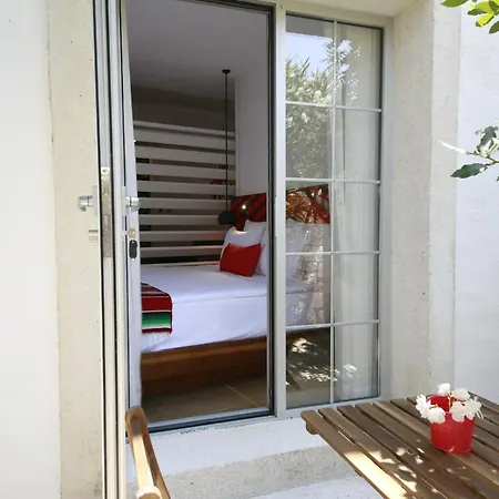 The Abc (adults Only)