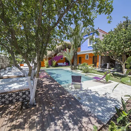 The Abc (adults Only)