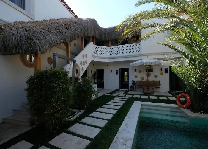 The Abc (adults Only)