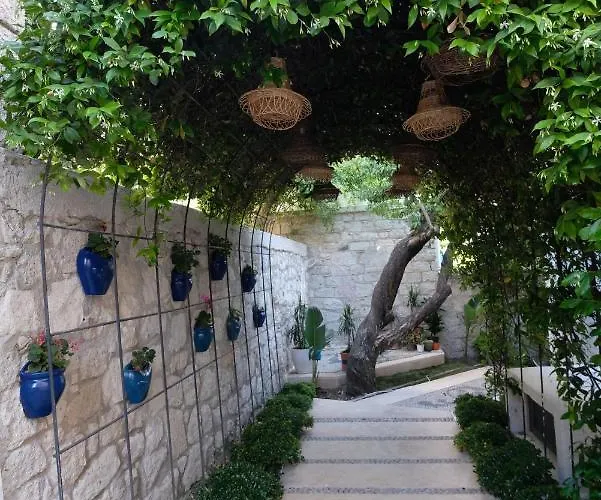 The Abc (adults Only)