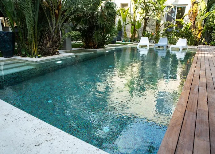 The Abc (adults Only)