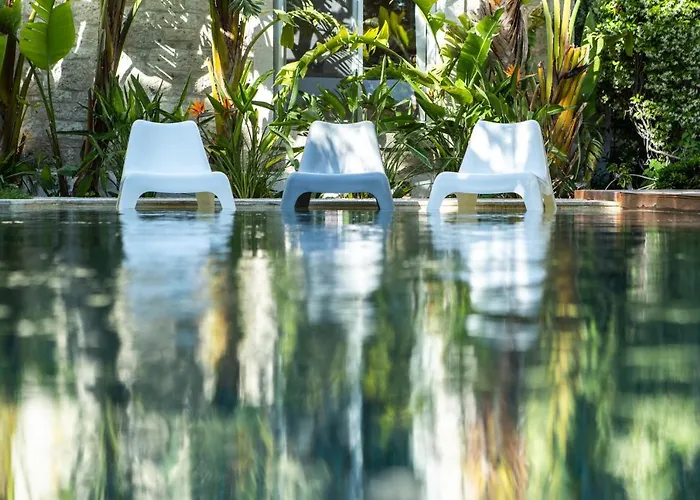 The Abc (adults Only)