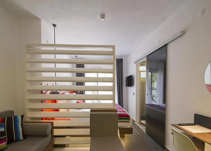 The Abc (adults Only)