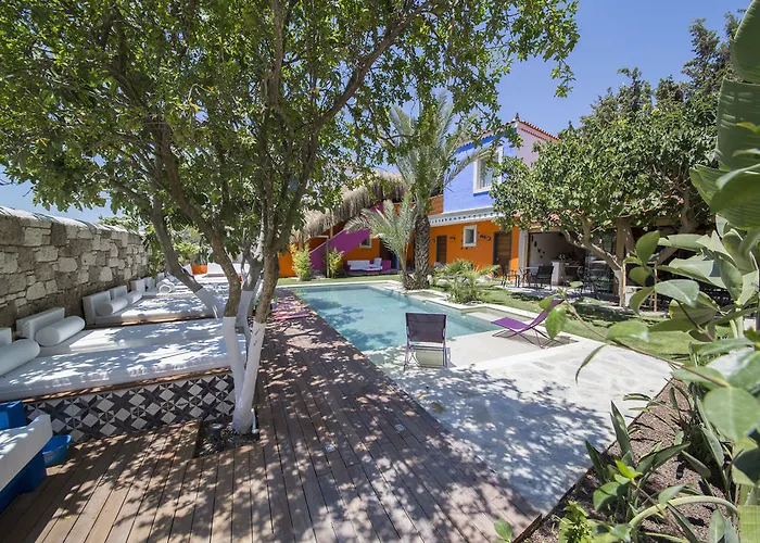 The Abc (adults Only)